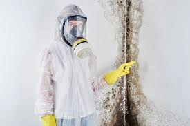 Professional Mold Removal in St Paul, VA